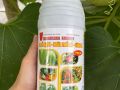 Trichoderma bacillus chai 1 lit ra rễ mạnh ngừa thối rễ vàng lá